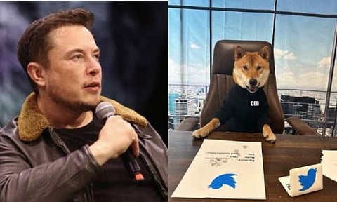 ഇലോണ്‍ മസ്‌ക്/ ചിത്രം ട്വിറ്റർ