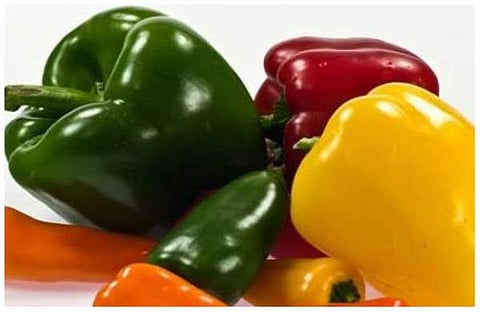 പ്രതീകാത്മക ചിത്രം