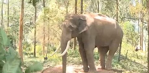 ഫയല്‍ ചിത്രം