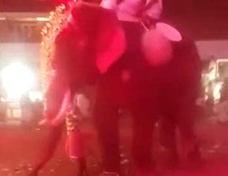 ടെലിവിഷൻ ദൃശ്യം