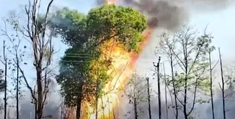 വയനാട് വന്യജീവി സങ്കേതത്തിലുണ്ടായ തീപിടുത്തം/ ടെലിവിഷൻ ദൃശ്യം