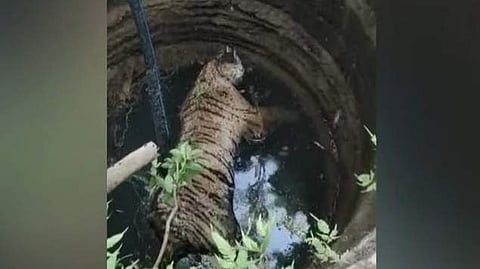 ടെലിവിഷൻ ​ദൃശ്യം