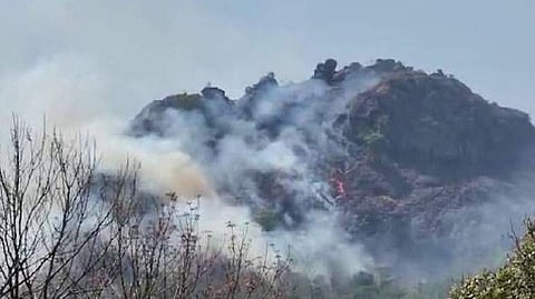 വീഡിയോ സ്‌ക്രീന്‍ഷോട്ട്