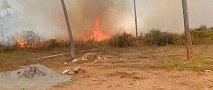 വീഡിയോ സ്‌ക്രീന്‍ഷോട്ട്