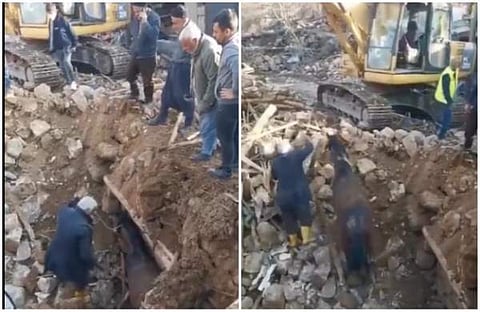 തകര്‍ന്ന കെട്ടിടത്തിന് അടിയില്‍ കിടന്നത് 21 ദിവസം; തുര്‍ക്കിയില്‍ കുതിരയെ രക്ഷപ്പെടുത്തി, അതിജീവന കഥ (വീഡിയോ)