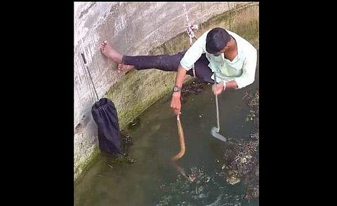 കിണറില്‍ അകപ്പെട്ട പാമ്പിനെ പിടികൂടാന്‍ ശ്രമിക്കുന്ന ദൃശ്യം