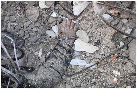 ചിത്രം: എഎഫ്പി