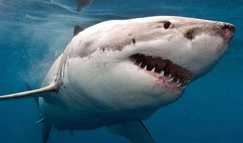 പ്രതീകാത്മക ചിത്രം