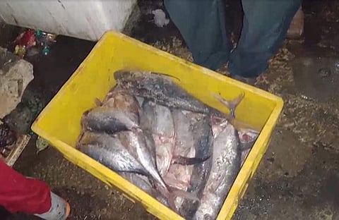 ടെലിവിഷൻ ദൃശ്യം