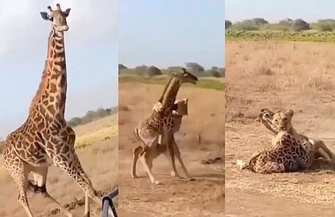 വിഡിയോ സ്ക്രീൻഷോട്ട്