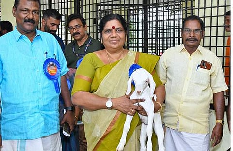 മന്ത്രി ജെ ചിഞ്ചുറാണി ചെറ്റല്‍ ജഴ്‌സി ഫാമില്‍