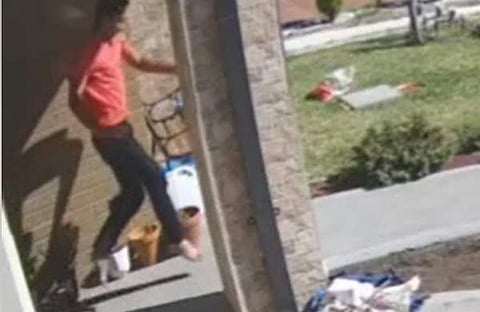 പാമ്പിനെ ചവിട്ടിയ ഉടനെ ചാടുന്ന യുവാവിന്റെ ദൃശ്യം