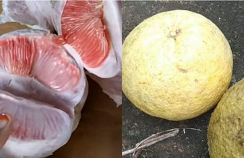 പ്രതീകാത്മക ചിത്രം