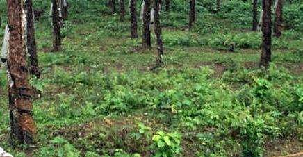 പ്രതീകാത്മക ചിത്രം