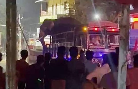 ചങ്ങനാശേരിയിൽ ആന ഇടഞ്ഞപ്പോൾ/ ചിത്രം; ഫെയ്സ്ബുക്ക്