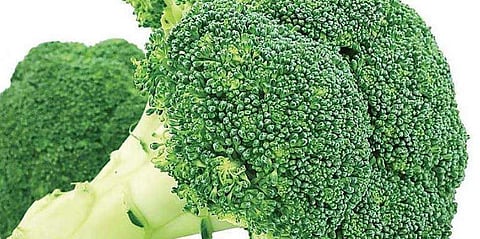 പ്രതീകാത്മക ചിത്രം