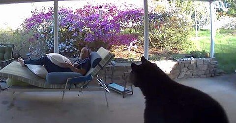 വിഡിയോ ദൃശ്യം