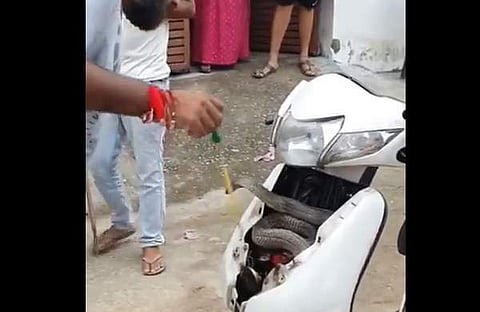 ഹോണ്ട ആക്ടീവയില്‍ നിന്ന് പാമ്പിനെ പിടികൂടുന്ന ദൃശ്യം