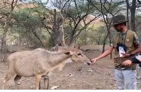 വീഡിയോ ദൃശ്യം