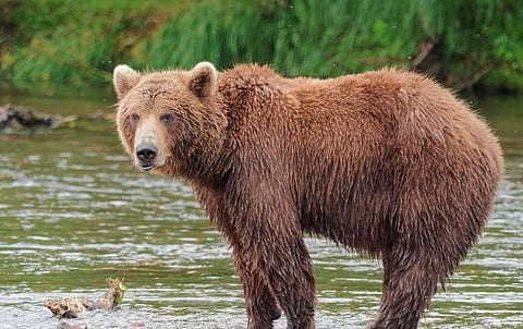 പ്രതീകാത്മക ചിത്രം