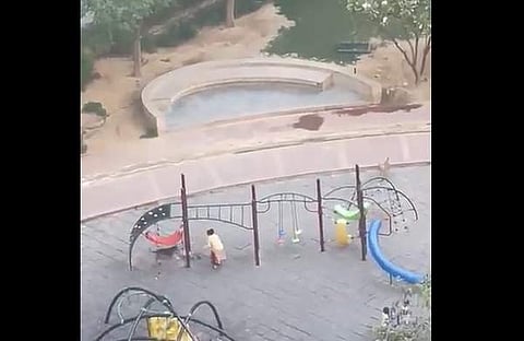 പാര്‍ക്കില്‍ സ്്ത്രീയെ തെരുവുനായ്ക്കള്‍ ആക്രമിക്കുന്ന ദൃശ്യം