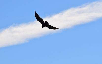 പ്രതീകാത്മക ചിത്രം