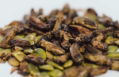 പ്രതീകാത്മക ചിത്രം