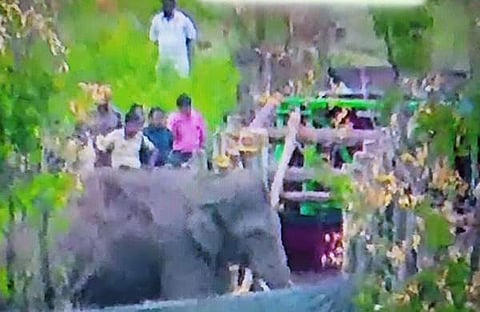 അരിക്കൊമ്പനെ ലോറിയില്‍ കയറ്റുന്ന ദൃശ്യം, ട്വിറ്റര്‍