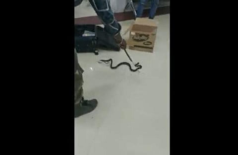 ലഗേജില്‍ നിന്ന് പാമ്പിനെ പിടികൂടിയപ്പോള്‍, എഎന്‍ഐ