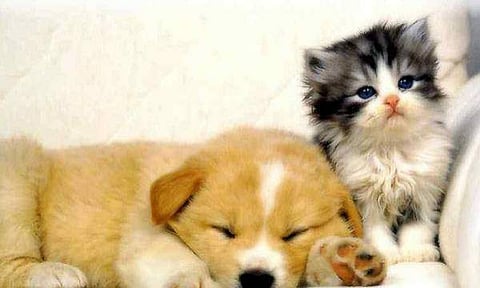 പ്രതീകാത്മക ചിത്രം