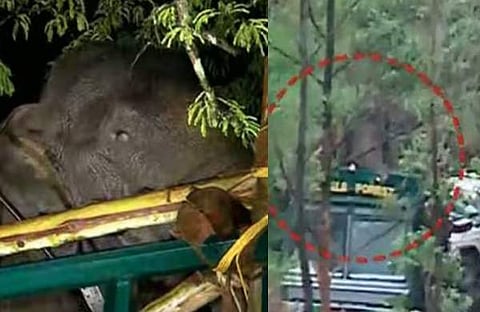 ടെലിവിഷൻ ദൃശ്യം