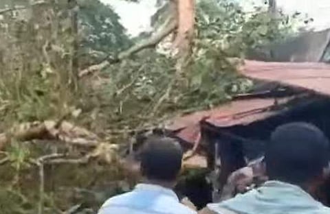 അടൂരില്‍ കനത്തമഴയില്‍ മരം ഒടിഞ്ഞുവീണ നിലയില്‍, സ്‌ക്രീന്‍ഷോട്ട്‌