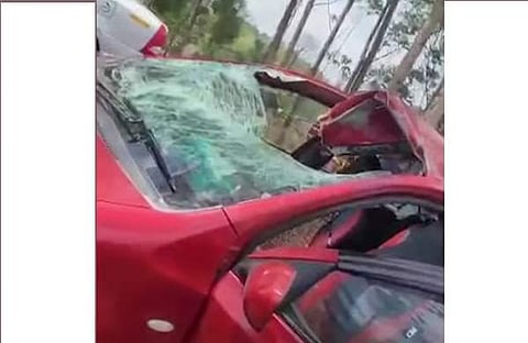 പുള്ളിമാന്‍ ഓടുന്ന കാറിന്റെ മുകളിലേക്ക് ചാടി ഉണ്ടായ അപകടം, സ്‌ക്രീന്‍ഷോട്ട്‌