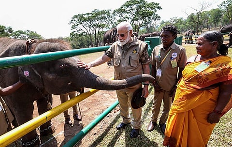 മുതുമല കടുവാ സങ്കേതത്തിൽ ബൊമ്മനും ബല്ലിക്കുമൊപ്പം പ്രധാനമന്ത്രി. ആനക്കുട്ടികളെ പരിപാലിക്കുന്ന ഈ ആദിവാസി ദമ്പതികൾ 2023-ലെ ഓസ്‌കർ നേടിയ ദി എലിഫന്റ് വിസ്പററിന് പ്രചോദനമായിരുന്നു/ പിടിഐ