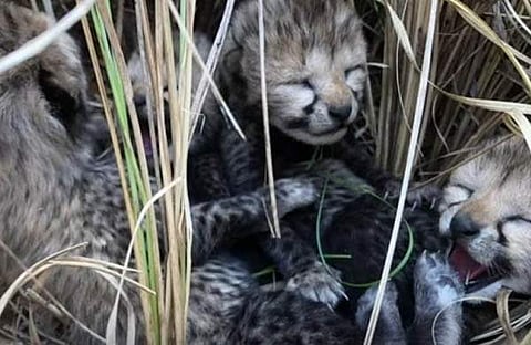 ഫയല്‍ ചിത്രം