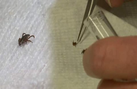 പ്രതീകാത്മക ചിത്രം