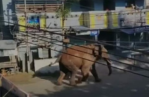 ടെലിവിഷൻ ദൃശ്യം