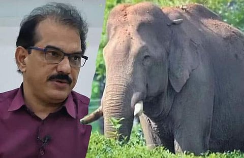 സാബു ജേക്കബ്, അരിക്കൊമ്പൻ/ ഫയൽ