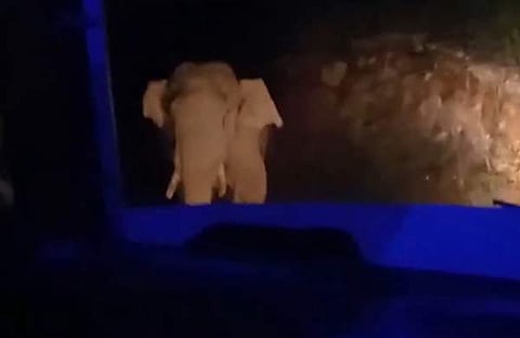 ബസിനു നേരെ പാഞ്ഞടുക്കുന്ന അരിക്കൊമ്പൻ/ ടെലിവിഷൻ സ്ക്രീൻഷോട്ട്