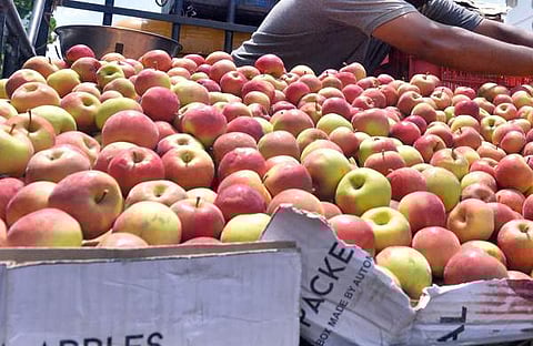 ആപ്പിള്‍, ഫയല്‍ ചിത്രം/ എക്‌സ്പ്രസ്‌