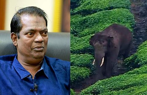 സലിംകുമാർ/ ടിപി സൂരജ്, അരിക്കൊമ്പൻ/ ഫയൽചിത്രം