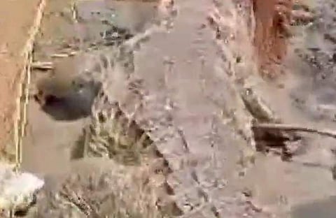 മുതലയെ നാട്ടുകാർ പിടികൂടിയപ്പോൾ, വീഡിയോ സ്ക്രീൻഷോട്ട്