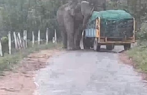 വീഡിയോ ദൃശ്യം