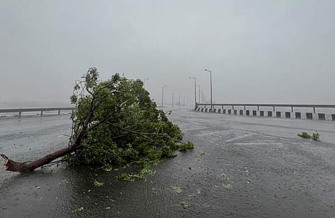 ഗുജറാത്തില്‍ ചുഴലിക്കാറ്റില്‍ മരം കടപുഴകിയ നിലയില്‍, പിടിഐ