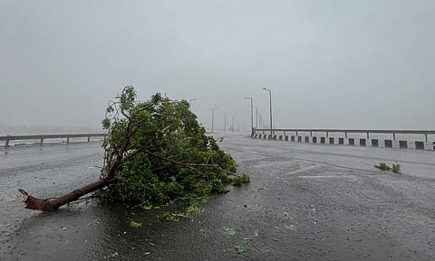 കാറ്റിൽ കടപുഴകിയ മരം റോഡിൽ പതിച്ചപ്പോൾ/ പിടിഐ
