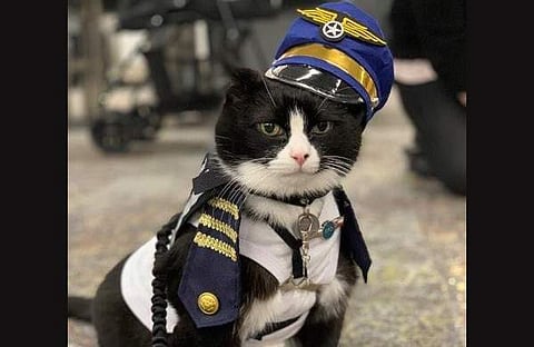 ഡ്യൂക്ക് എല്ലിംഗ്ടൺ മോറിസ്/ ചിത്രം: ട്വിറ്റർ