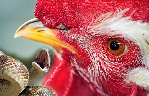 പ്രതീകാത്മക ചിത്രം