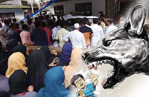 എക്സ്പ്രസ് ചിത്രം