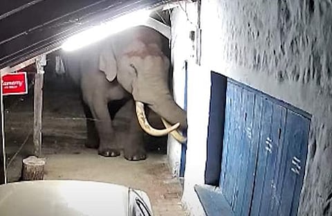 പടയപ്പ കട ആക്രമിക്കുന്നു/ ടെലിവിഷൻ സ്ക്രീൻഷോട്ട്