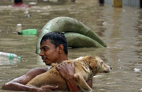 ചിത്രം:പിടിഐ